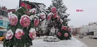 Isparta'da 2 günde yağan kar, 1 ayda beklenen yağış miktarını geride bıraktı