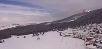 Ordu'da en güzel çoban ve av köpeği yarışı