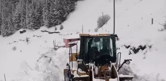 Gümüşhane, Giresun ve Artvin'de kar nedeniyle 96 köye ulaşım sağlanamıyor