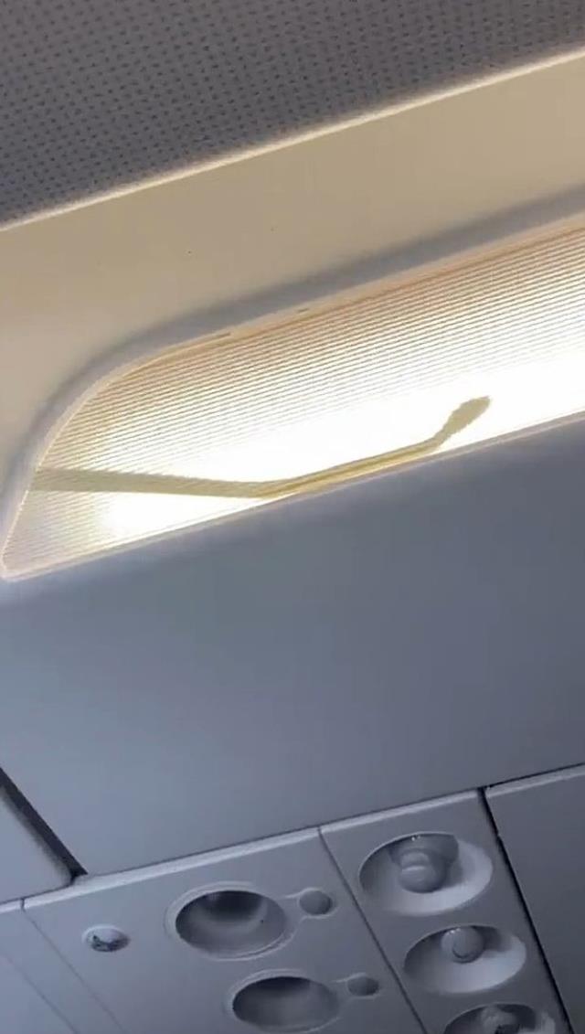 Havada büyük panik! Aniden belirlen yılan, uçağa acil iniş yaptırdı Havada büyük panik! Aniden belirlen yılan, uçağa acil iniş yaptırdı