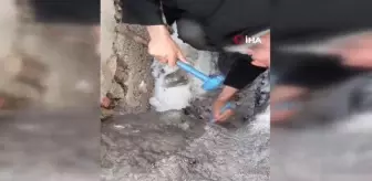 Dede ve torunu buz tutan boruya sıkışan kedi için seferber oldu