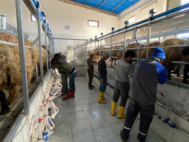 Yetkililer yolu kapattı, yatırımcı neye uğradığını şaşırdı! 4 milyonluk tesis çöp olmak üzere Yetkililer yolu kapattı, yatırımcı neye uğradığını şaşırdı! 4 milyonluk tesis çöp olmak üzere