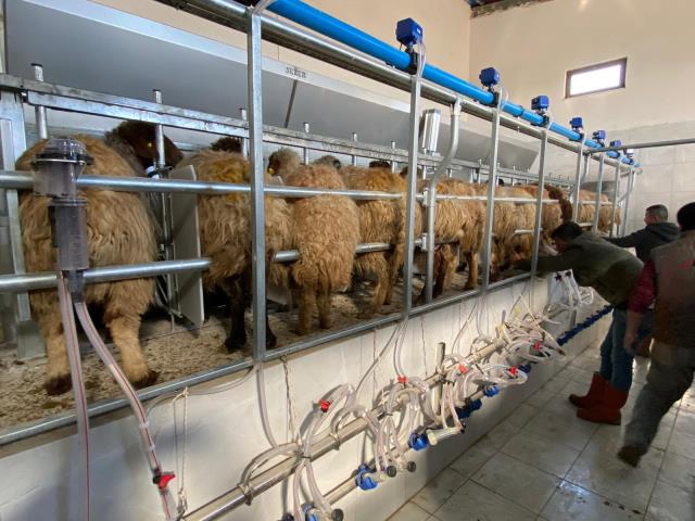 Yetkililer yolu kapattı, yatırımcı neye uğradığını şaşırdı! 4 milyonluk tesis çöp olmak üzere Yetkililer yolu kapattı, yatırımcı neye uğradığını şaşırdı! 4 milyonluk tesis çöp olmak üzere