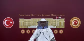 CHP'li Adıgüzel: 'Türkiye'de arılar açlıktan ölüyor'