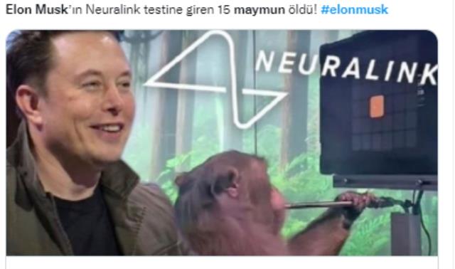 Elon Musk'ın testlerinde beynine çip takılan maymunların öldüğü iddiası