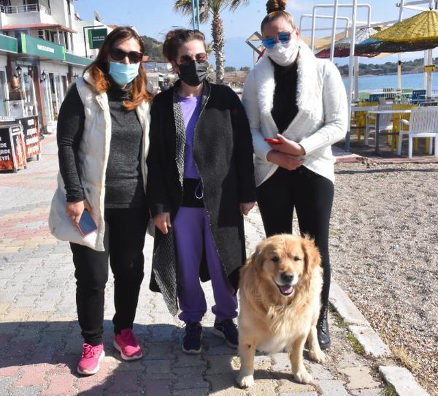 Köpeklere taş attığı için kendisini uyaran 2 kadını dövdü! Köpeklere taş attığı için kendisini uyaran 2 kadını dövdü!