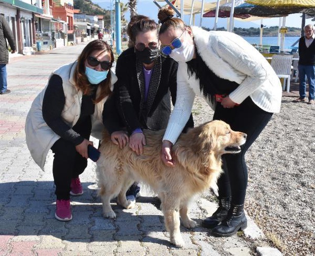 Köpeklere taş attığı için kendisini uyaran 2 kadını dövdü! Köpeklere taş attığı için kendisini uyaran 2 kadını dövdü!
