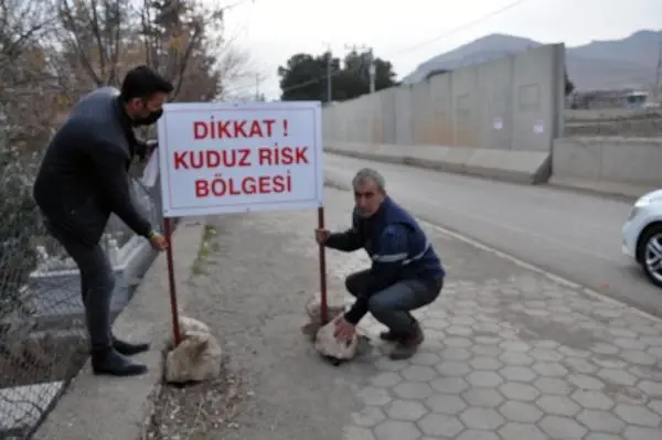 Mardin'de 4'ü çocuk 7 kişiyi ısıran sokak köpeği kuduz çıktı! Mahalle karantinaya alındı