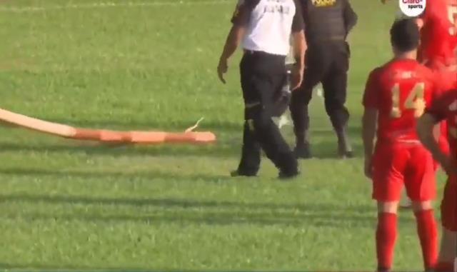 Korku dolu anlar! Sahaya yılan girdi, futbolcular kaçacak delik aradı Korku dolu anlar! Sahaya yılan girdi, futbolcular kaçacak delik aradı