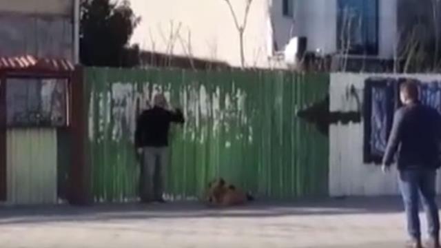 İstanbul Çağlayan Adliyesi'nde intihar girişimi! Polis ikna çabalarını sürdürüyor İstanbul Çağlayan Adliyesi'nde intihar girişimi! Polis ikna çabalarını sürdürüyor