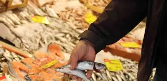 Uzun yıllardır görünmüyordu, yeniden tezgahları şenlendirmeye başladı