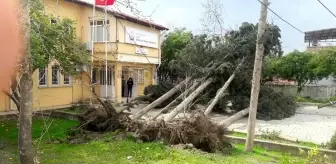 Hatay'da fırtına çatıları uçurdu ağaçları kökünden söktü