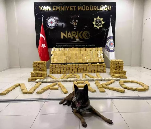 Narkotik polisinin sevimli dostları! Magnum ve Bobi, hassas burunlarıyla uyuşturucuya geçit vermiyor