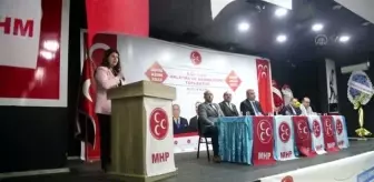 MHP'li Yılık, 'Adım Adım 2023 İlçe İlçe Anlatma ve Aydınlatma' programında konuştu