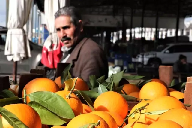 Rusya'nın Ukrayna operasyonu Antalya halinde fiyatları yüzde 60 düşürdü