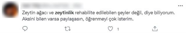 Resmi Gazete'de yayımlanan karar tepkilere neden oldu! Zeytinlikler kesilerek maden sahasına çevirilebilecek Resmi Gazete'de yayımlanan karar tepkilere neden oldu! Zeytinlikler kesilerek maden sahasına çevirilebilecek