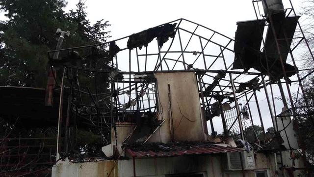 Antalya'da yaşlı kadın oğlunun fotoğrafı ve kuşları kurtarmak isterken yanarak öldü Antalya'da yaşlı kadın oğlunun fotoğrafı ve kuşları kurtarmak isterken yanarak öldü