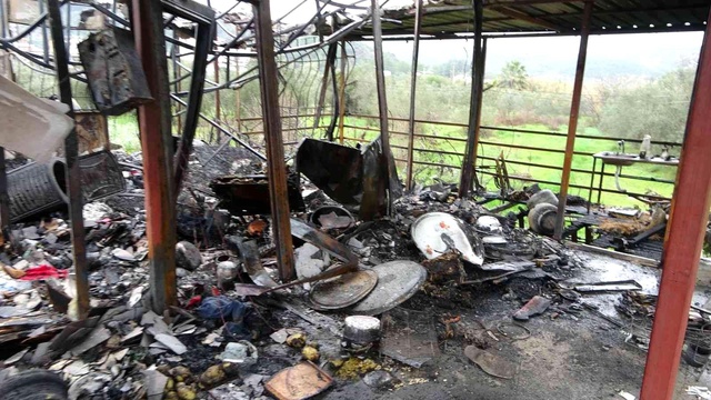 Antalya'da yaşlı kadın oğlunun fotoğrafı ve kuşları kurtarmak isterken yanarak öldü Antalya'da yaşlı kadın oğlunun fotoğrafı ve kuşları kurtarmak isterken yanarak öldü