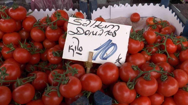 Rusya domatesi ihraç edemedi, semt pazarlarında fiyat 10 TL'ye düştü Rusya domatesi ihraç edemedi, semt pazarlarında fiyat 10 TL'ye düştü