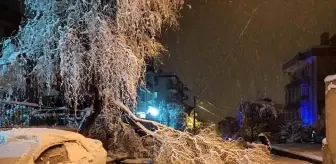 Yoğun kar yağışına dayanamayan ağaç dalları kırılarak anayolu kapattı