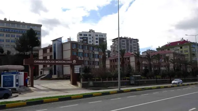 Arkadaşlarına 'Beni yalnız bırakın' dedi, odasında intihar etti