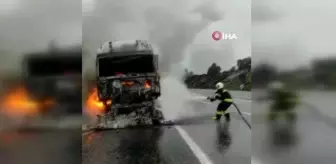 Seyir halindeki balık yemi yüklü kamyon yanarak kullanılmaz hale geldi