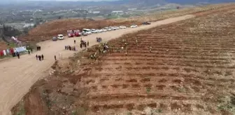 Manavgat'ta yanan alanda Kadın İşçiler Hatıra Ormanı oluşturuldu