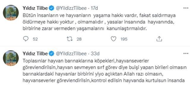 Yıldız Tilbe'nin tepki çeken sokak köpeği çıkışına Datça Belediyesi'nden yanıt: Tatil için bizi tercih etmeyin