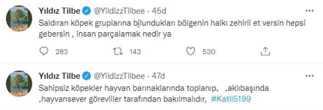 Yıldız Tilbe'nin tepki çeken sokak köpeği çıkışına Datça Belediyesi'nden yanıt: Tatil için bizi tercih etmeyin