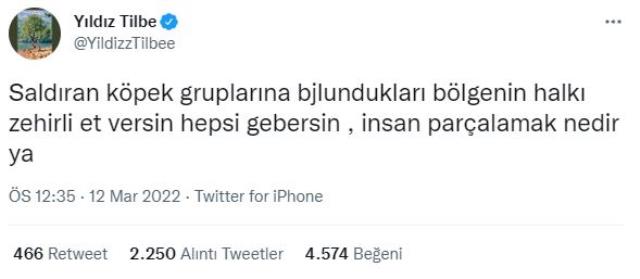 Yıldız Tilbe'nin tepki çeken sokak köpeği çıkışına Datça Belediyesi'nden yanıt: Tatil için bizi tercih etmeyin