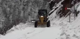 Şırnak'ta kapalı köy yolları açıldı