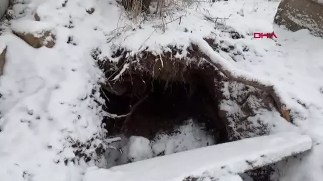 Afyonkarahisar'ın define ararken yakalanan profesör hakkında idari işlem başlattı! Afyonkarahisar'ın define ararken yakalanan profesör hakkında idari işlem başlattı!