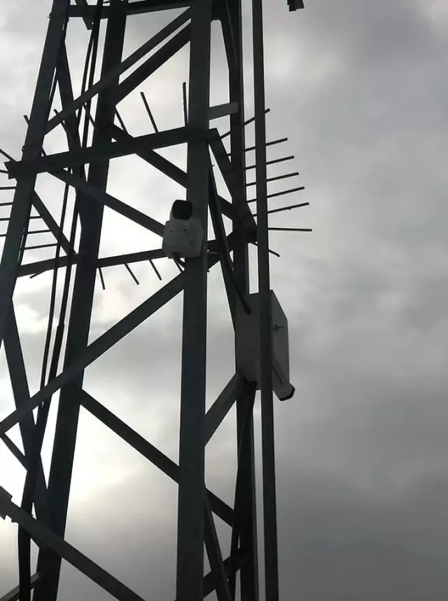 Köyü delik deşik eden defineciler, muhtarı isyan ettirdi! Son hamlesi halktan takdir aldı