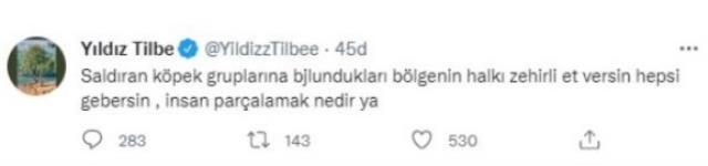 Bülent Ersoy, 'Saldırgan köpeklere zehirli et verin' dediği için tepki çeken Yıldız Tilbe'ye sahip çıktı