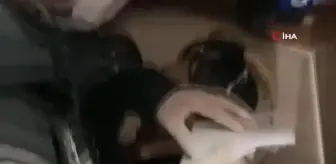 İzmir'de özel harekat destekli tefeci operasyonu: 5 tutuklama