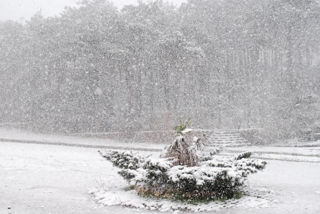 Meteoroloji'nin raporuna göre İstanbul'da etkili olan kar yağışı salı gününe kadar devam edecek Meteoroloji'nin raporuna göre İstanbul'da etkili olan kar yağışı salı gününe kadar devam edecek
