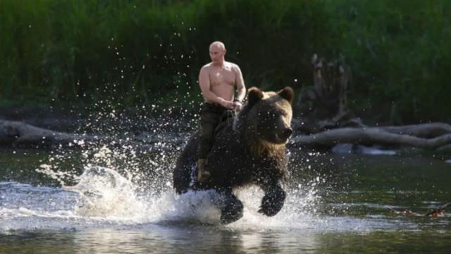 Putin'in ayının üzerinde çekildiği iddia edilen fotoğraf montaj çıktı