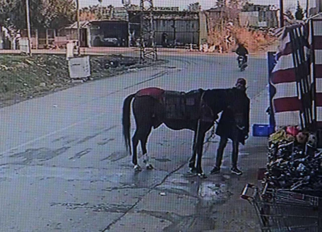 Hırsızın çaldığı atla marketin içine daldığı anlar kamerada