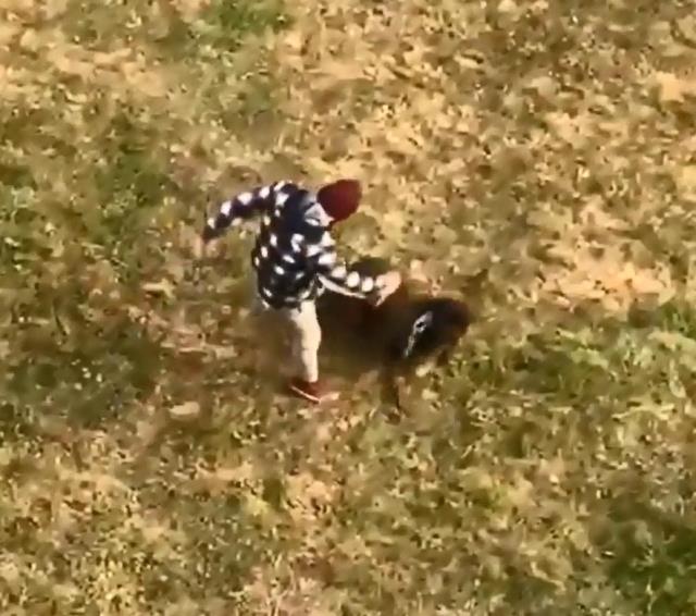 Köpeğe tekme atana 'Bana vur bana' diyerek tepki gösterdi Köpeğe tekme atana 'Bana vur bana' diyerek tepki gösterdi