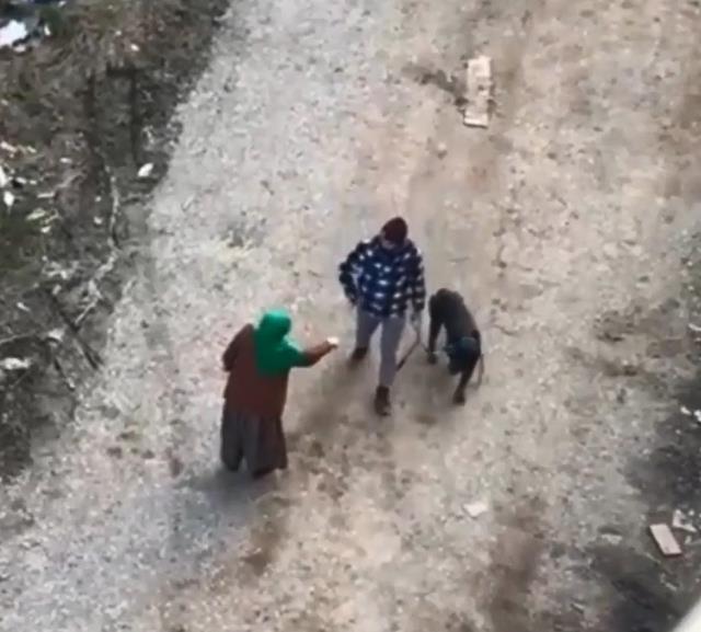Köpeğe tekme atana 'Bana vur bana' diyerek tepki gösterdi Köpeğe tekme atana 'Bana vur bana' diyerek tepki gösterdi