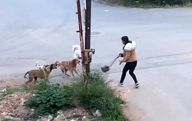 Köpeklerin saldırdığı genç kızın korku dolu anları kamerada Köpeklerin saldırdığı genç kızın korku dolu anları kamerada