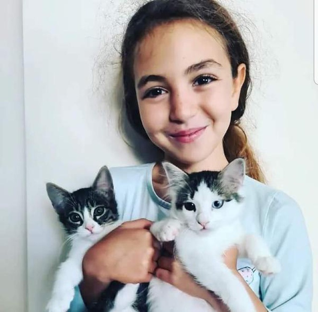 Sahipsiz köpeklerden kaçarken kamyonun altında kalan Mahra yaşam savaşını kaybetti Sahipsiz köpeklerden kaçarken kamyonun altında kalan Mahra yaşam savaşını kaybetti
