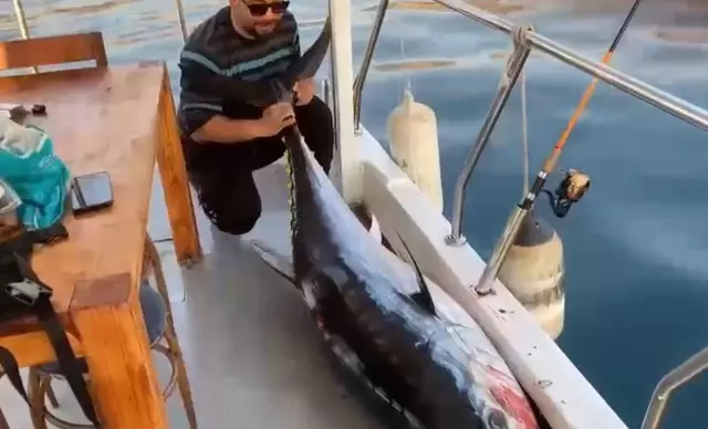 Oltaya takılanı görünce gözlerine inanamadılar! Tekneye almak için 2 saat mücadele ettiler