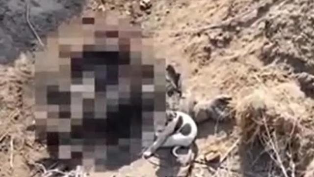 Ukrayna'da ölen Rus askerlerinin köpekler tarafından yenildiği görüntüler ortaya çıktı Ukrayna'da ölen Rus askerlerinin köpekler tarafından yenildiği görüntüler ortaya çıktı