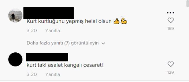 Koyunları parçalamaya gelen kurt, kangalın 'ölüm vuruşuyla' yere serildi