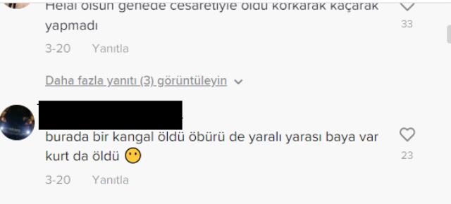 Koyunları parçalamaya gelen kurt, kangalın 'ölüm vuruşuyla' yere serildi
