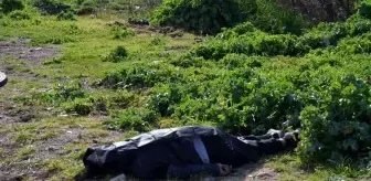 29 yaşındaki motosiklet sürücü kazada yaşamını yitirdi