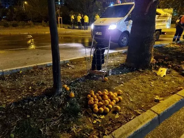 Turunç toplayan 3 kadının öldüğü kaza kamerada