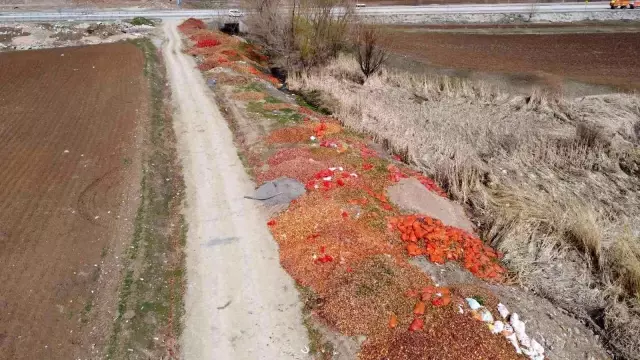 Yol kenarına atılan tonlarca soğan belediye ekipleri tarafından imha edildi