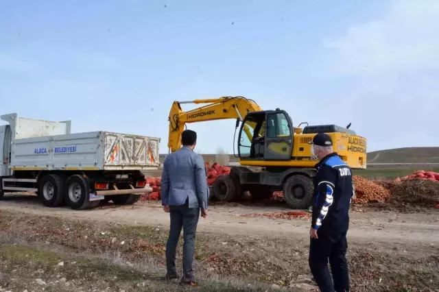 Yol kenarına atılan tonlarca soğan belediye ekipleri tarafından imha edildi